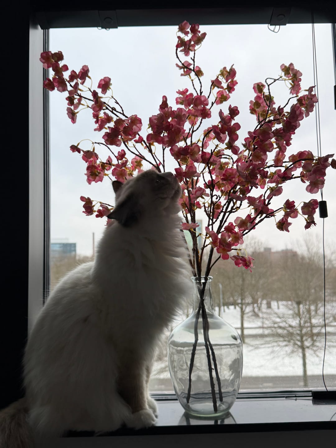 Customer photo review of Zijden Bloesem - Fuchsia roze