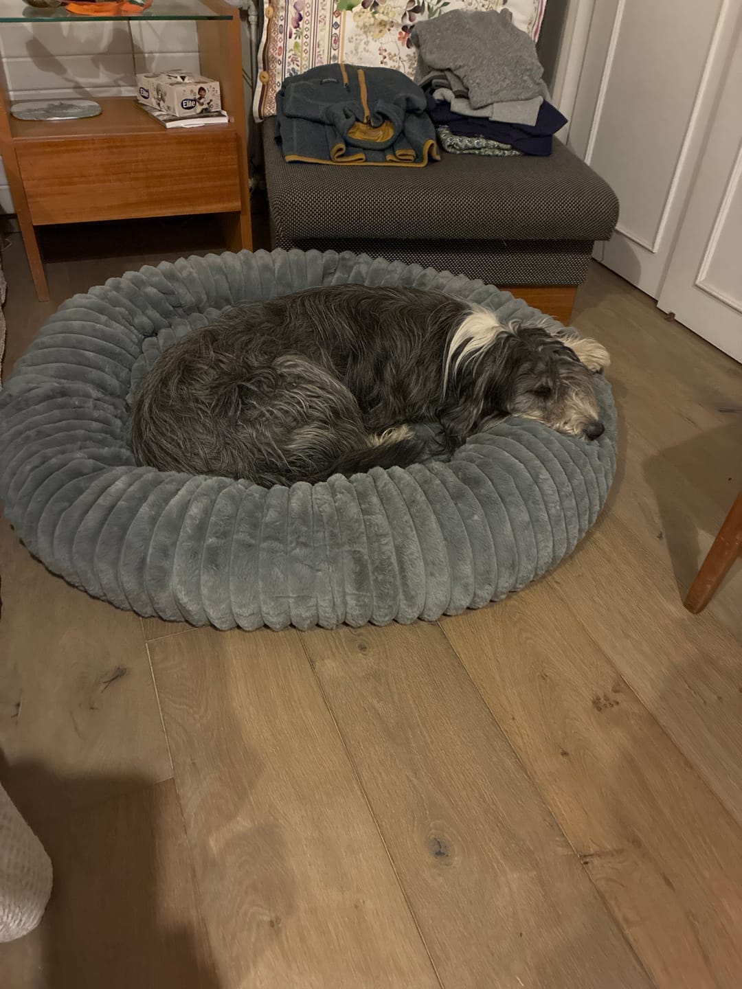 Customer photo review of Luxury Edition: Cama Anti-Estrés THE DOGS