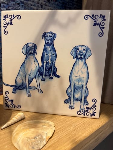 Customer photo review of Gepersonaliseerd Delfts Blauw Tegeltje – Upload Eigen Foto