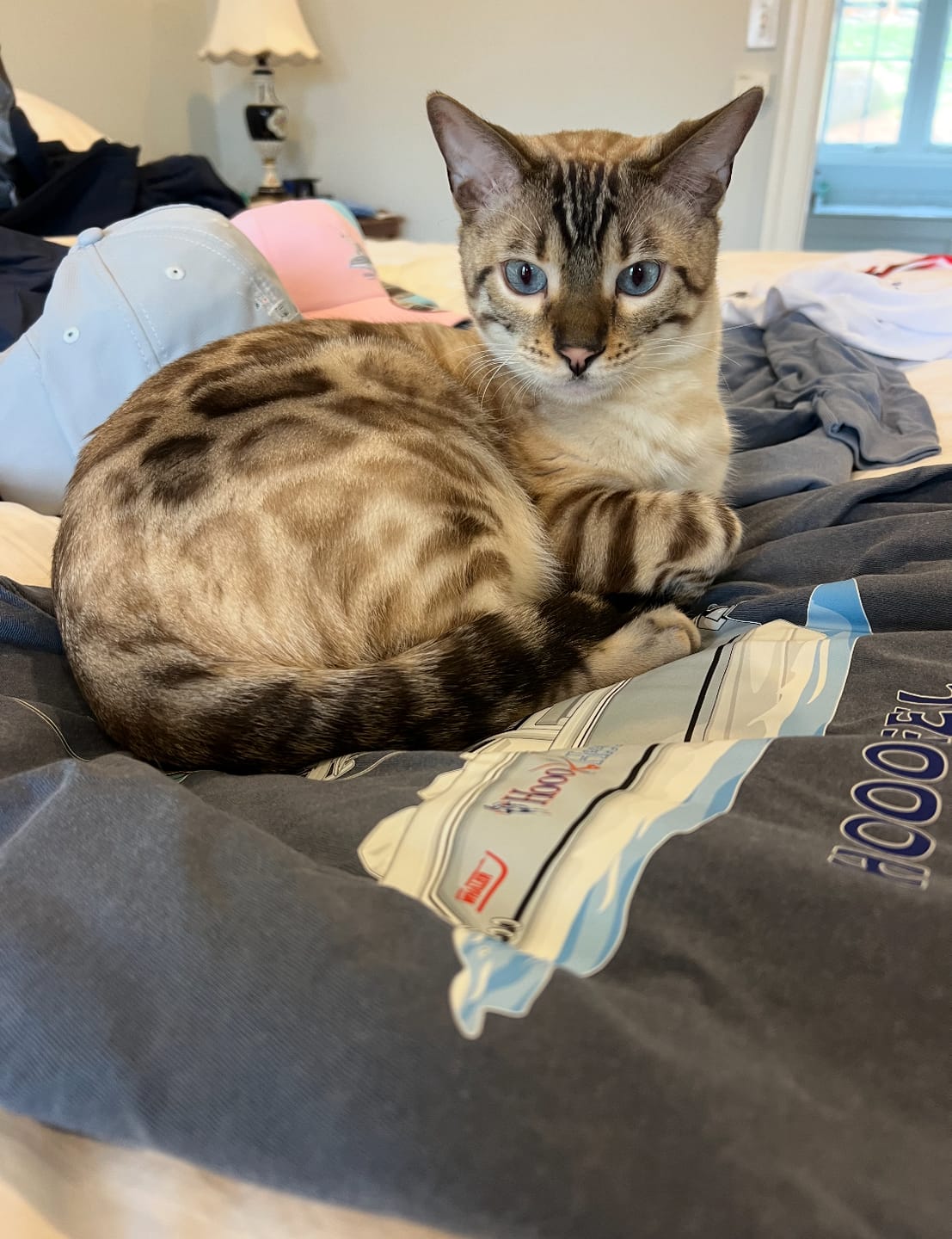 Customer photo review of Custom Cotton Long Sleeve Shirts with Pocket