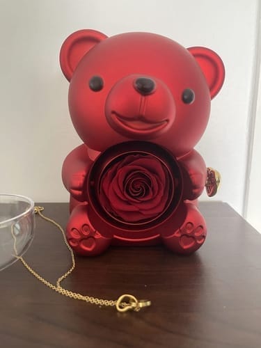 Customer photo review of Ewige Rose Bär Geschenkbox Mit Gravierter Herz Halskette - Kostenlose Ohrringe