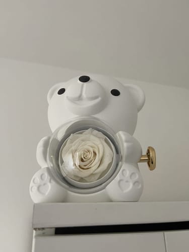 Customer photo review of Ewige Rose Bär Geschenkbox Mit Gravierter Herz Halskette - Kostenlose Ohrringe
