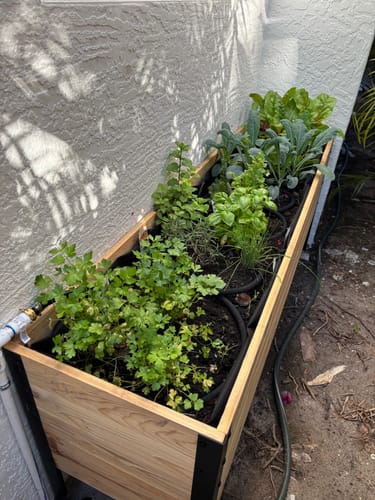 Customer photo review of 18" x 72" Raised Garden Bed - 30" TALL