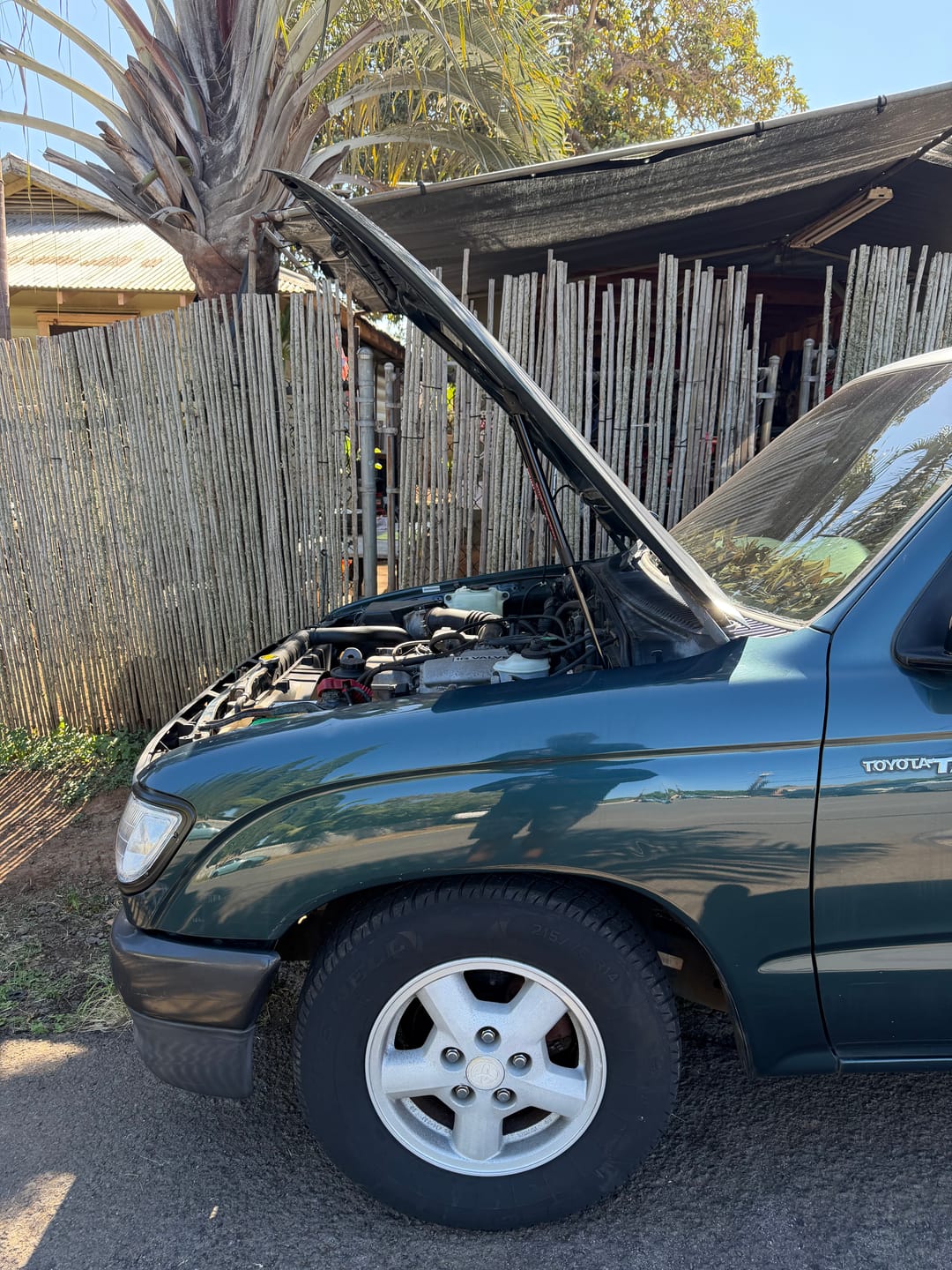 Customer photo review of 1996-2004 Toyota Tacoma EZ Lift Hood Struts