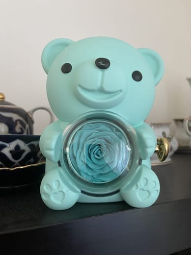 Customer photo review of Ewige Rose Bär Geschenkbox Mit Gravierter Herz Halskette - Kostenlose Ohrringe