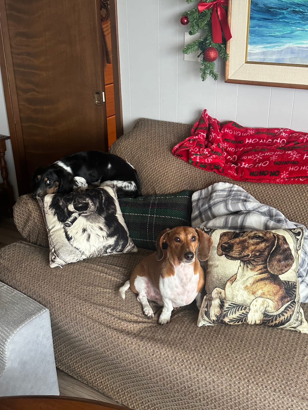 Customer photo review of Custom Photo Pillow with Your Dog Photos, Print Pet Photo on Pillow