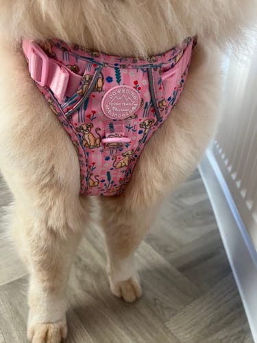 Customer photo review of Disney© Tough Trails™ Harness - Nala