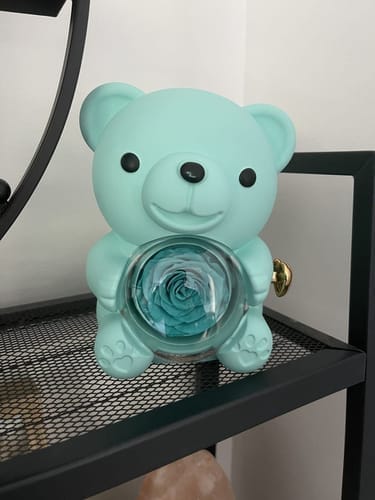 Customer photo review of Ewige Rose Bär Geschenkbox Mit Gravierter Herz Halskette - Kostenlose Ohrringe