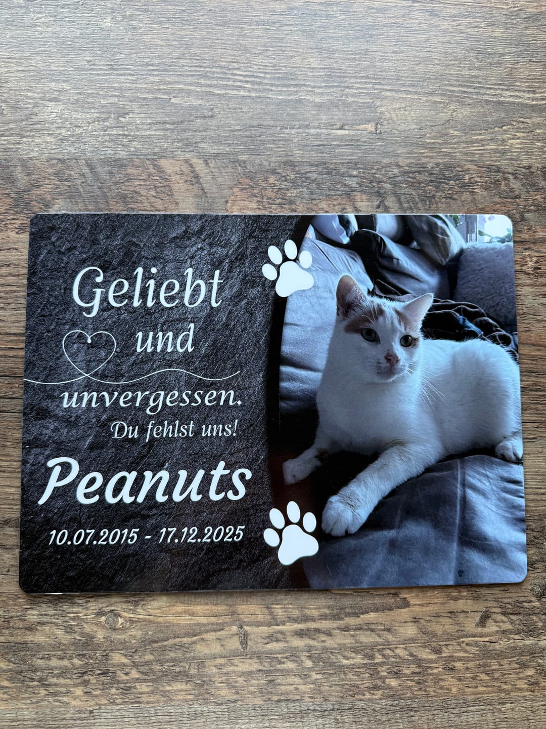 Customer photo review of Katzen Gedenktafel mit Foto & Spruch (UV- & Wetterfest)