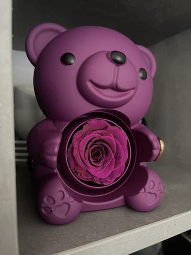 Customer photo review of Ewige Rose Bär Geschenkbox Mit Gravierter Herz Halskette - Kostenlose Ohrringe