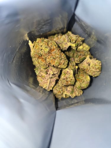 Customer photo review of Cheap THCA Flower Ounce