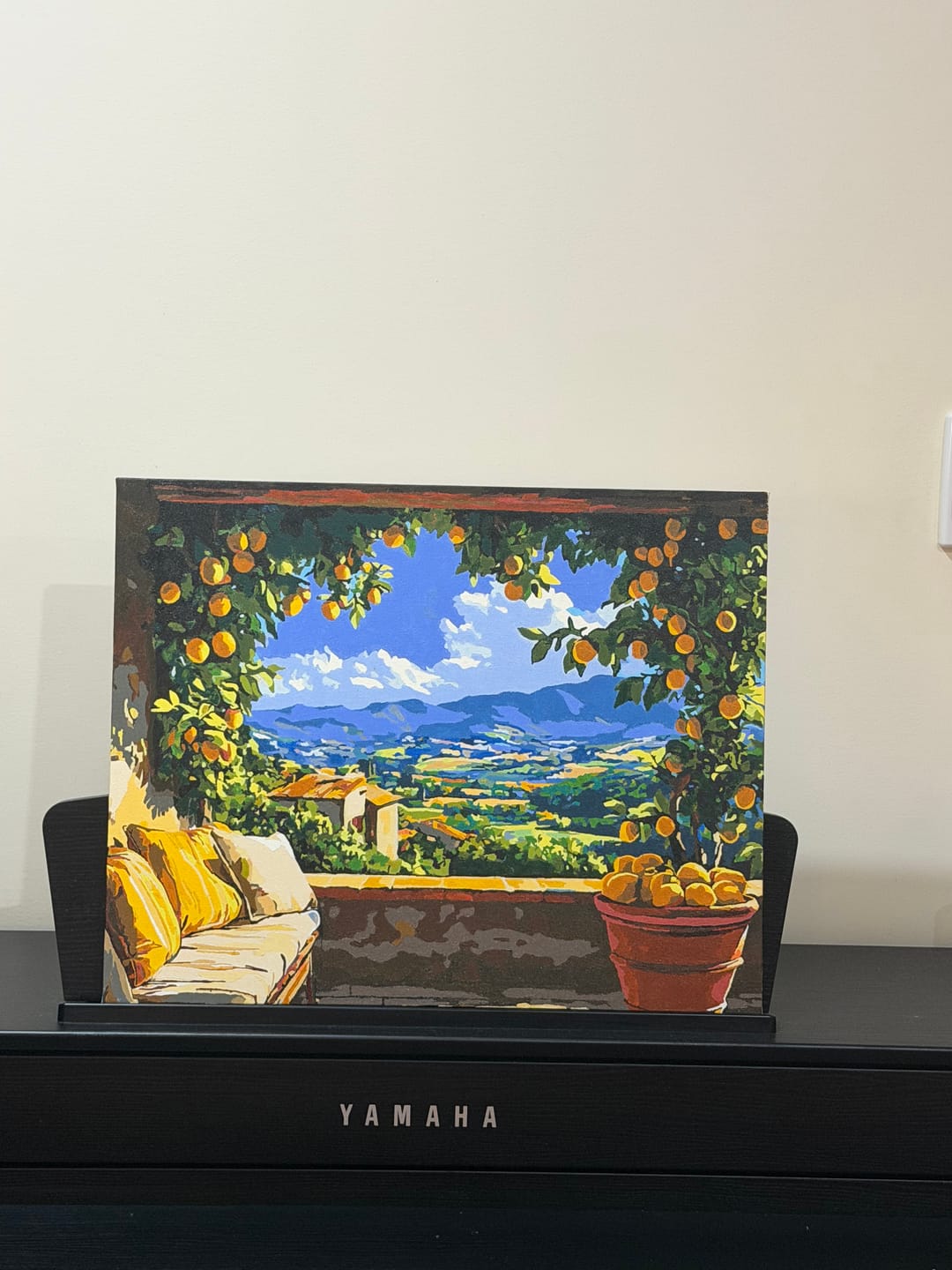 Customer photo review of Lemon Patio View