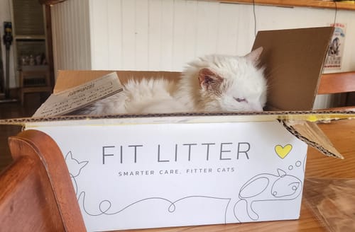 Customer photo review of Fit Litter PLUS+