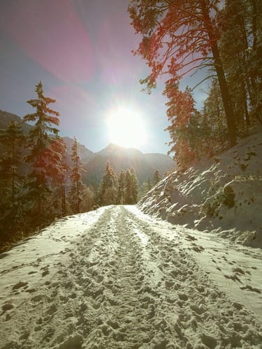 Kundenfoto aufgenommen mit der NUVINT Digitalkamera: Ein sonniger, verschneiter Waldweg mit Bäumen.