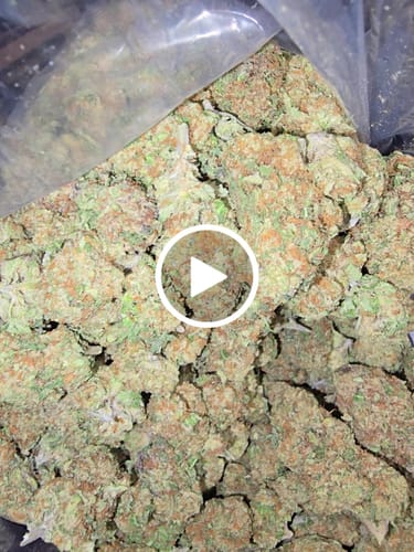Customer video review of Tangie THCA Flower