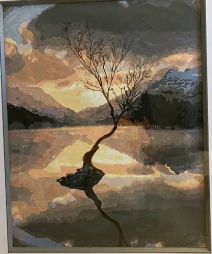 Customer photo review of Custom Landscape Paint By Numbers