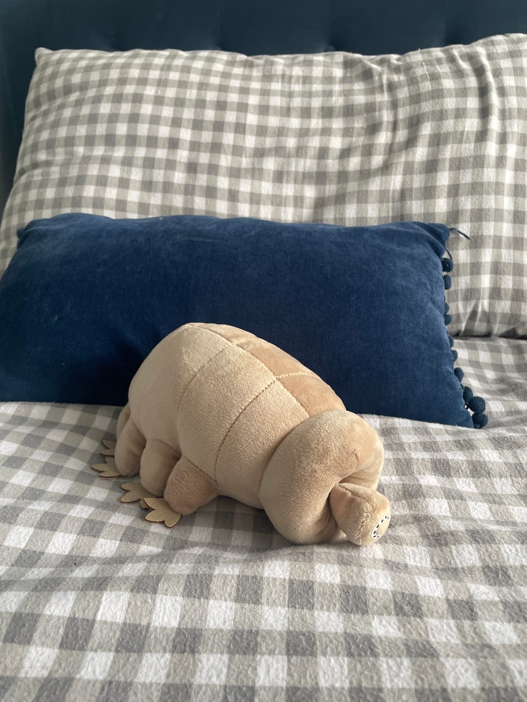 Customer photo review of Tardigrade Water Bear Soft Stuffed Plush Toy