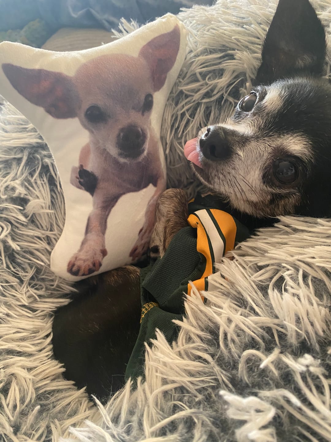 Customer photo review of Pet Pillow Looks Like Your Pet, Customize Dog Shaped Pillow with Pet Photo - ThePetPillow