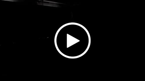 Customer video review of The Phantom II