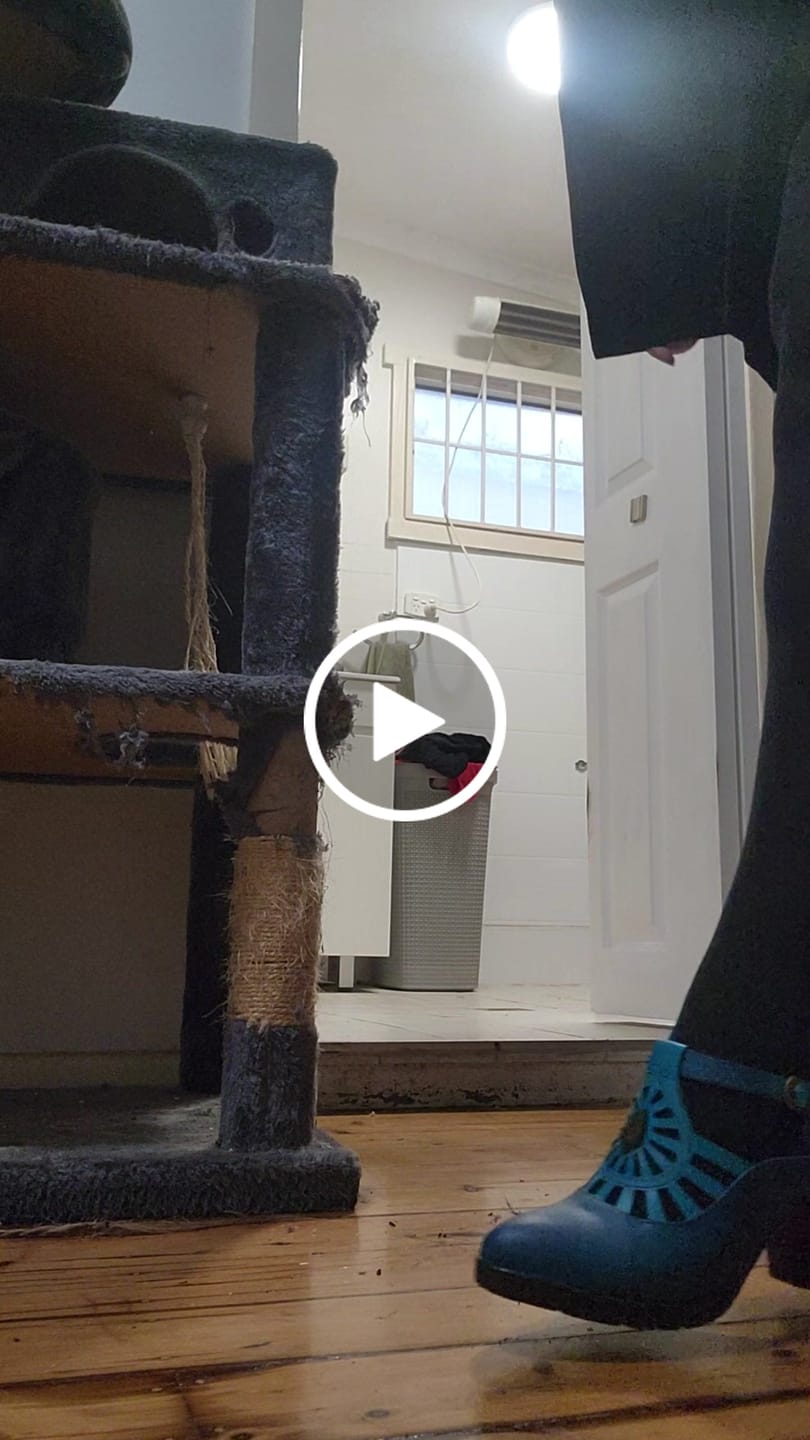 Customer video review of Retro Leather Grace Adjustable Belt Pumps