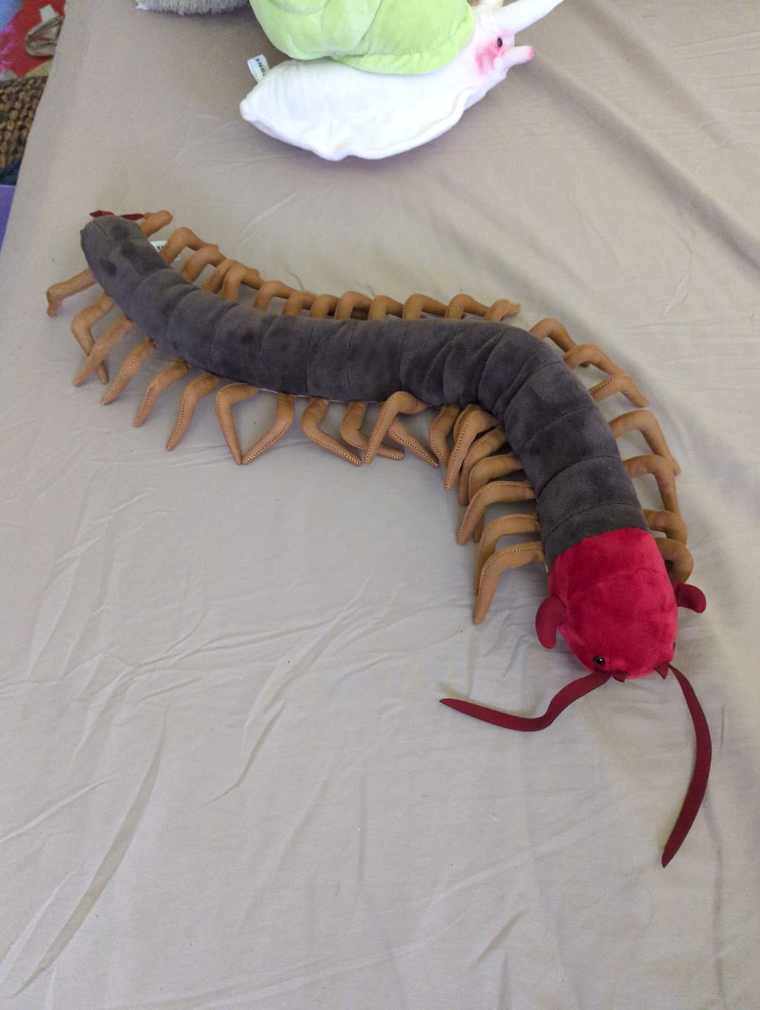 Customer photo review of Chinese Red-Headed Centipede Stuffed Plush Toy