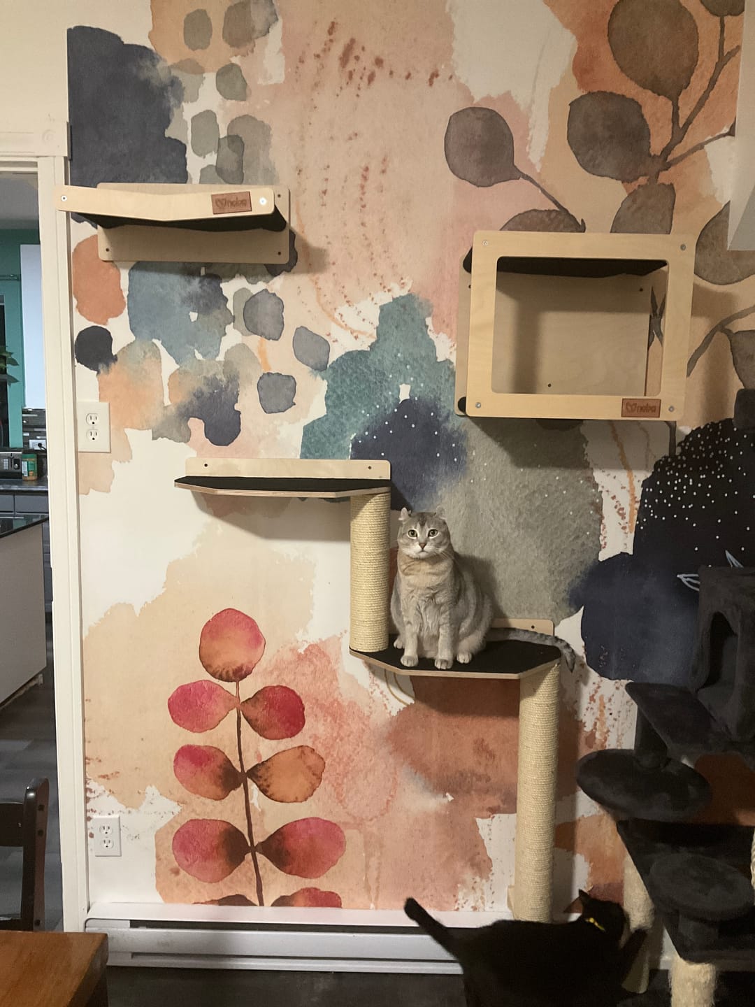 Customer photo review of Wall Mounted, Double Hammock Cat Hidedout