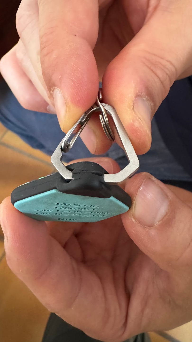 Customer photo review of Northern Lights - Silent Dog ID Tag