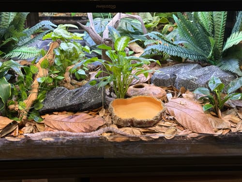 Customer photo review of Extension Kit for Phailozoo REPMAC Enclosures