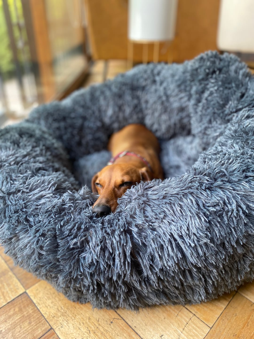 Customer photo review of Cama Anti-Estrés THE DOGS — Menos ansiedad, más descanso