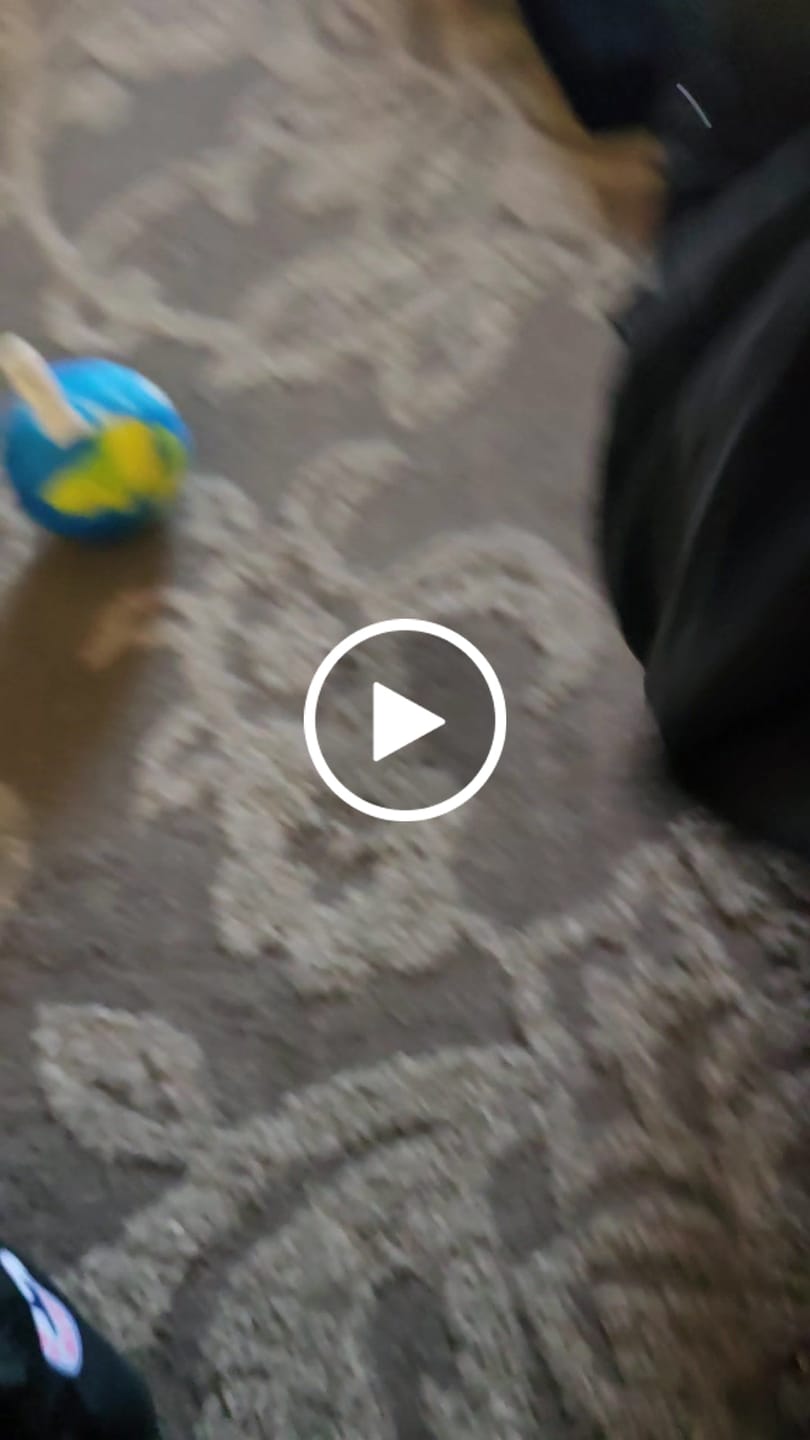 Customer video review of OG Chicano All Star Black ( Black or White Sole )