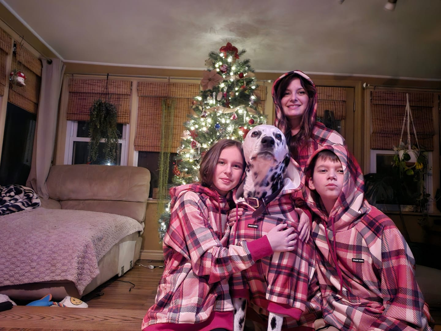 Customer photo review of Concrete Wood Dog Hoodie - Timber