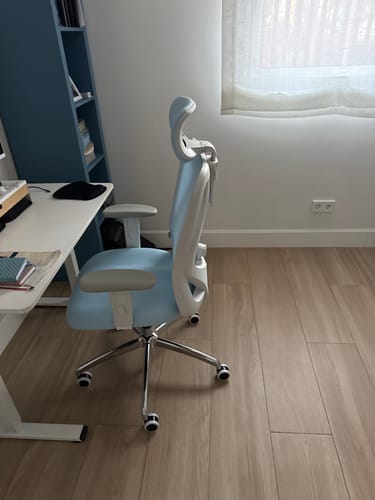 Customer photo review of Sihoo M18 Classic Office Chair With Triple Spinal Relief