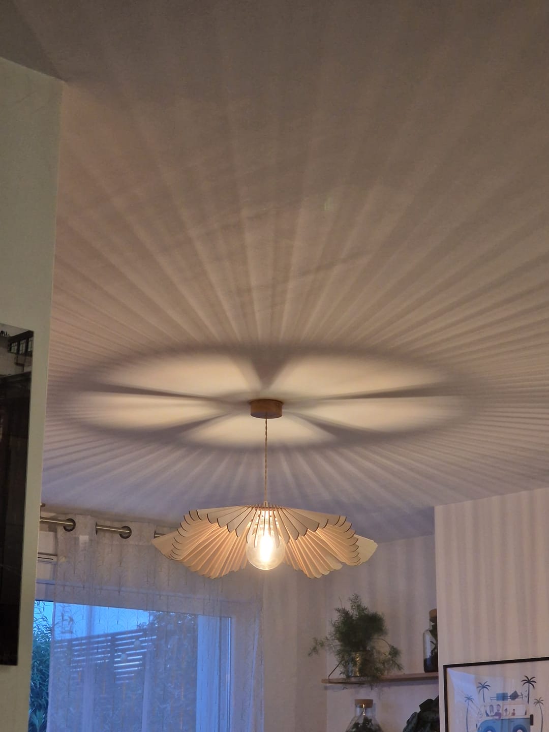 Customer photo review of Rose | Suspension