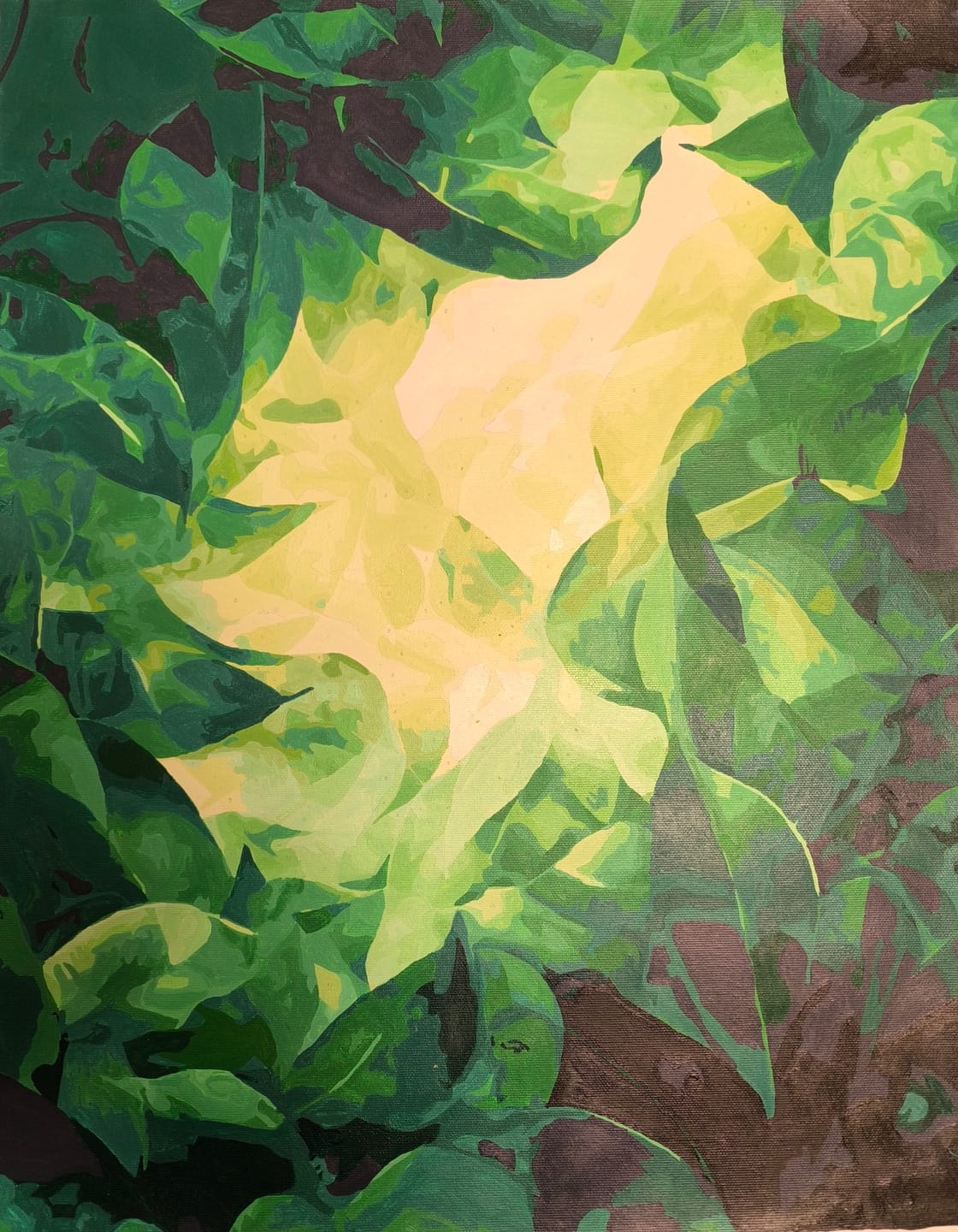 Customer photo review of Abstract Canopy