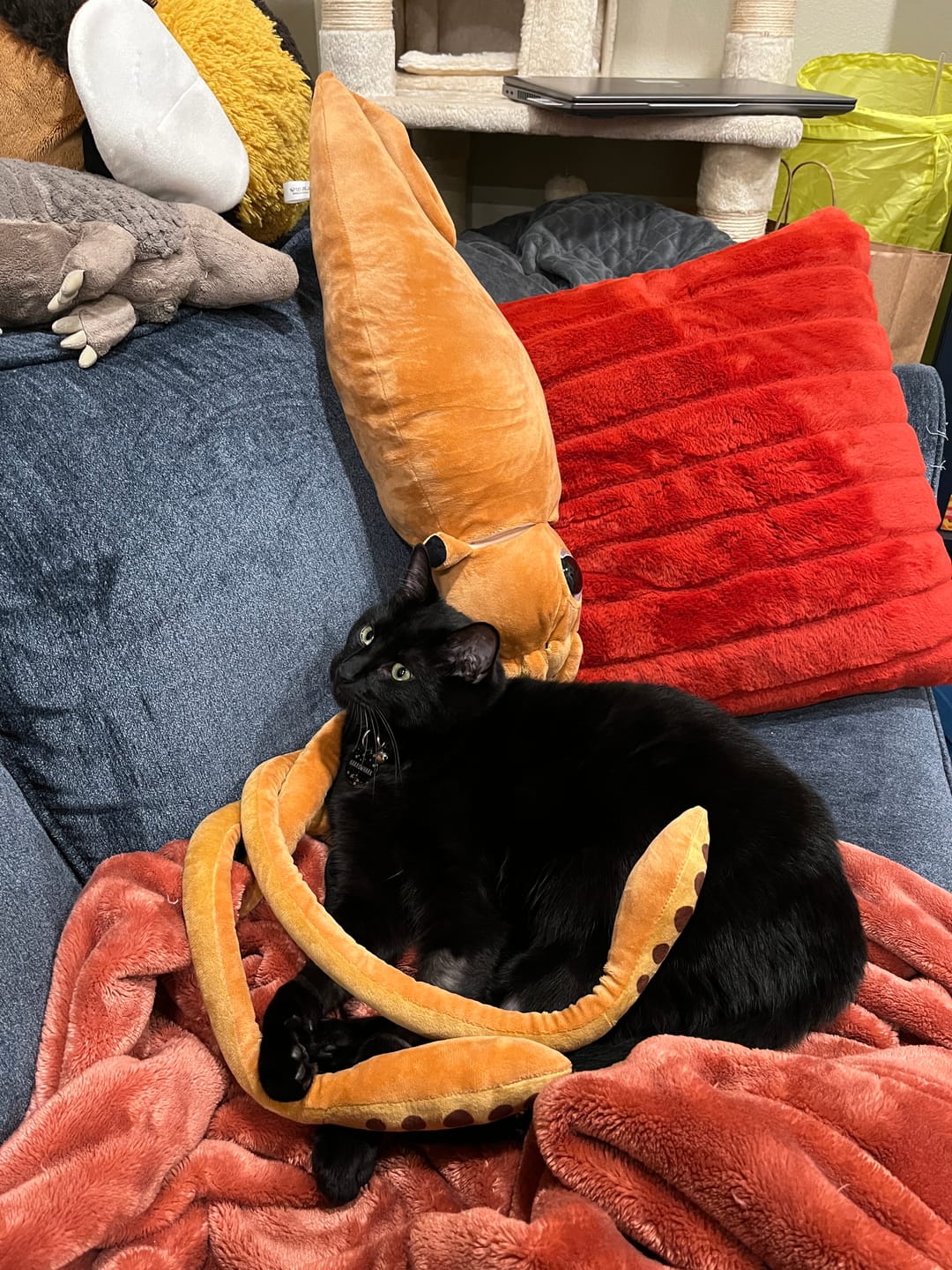 Customer photo review of Realistic Giant Squid Plush Toy – Soft, Lifelike, and Perfect for Sea Life Fans