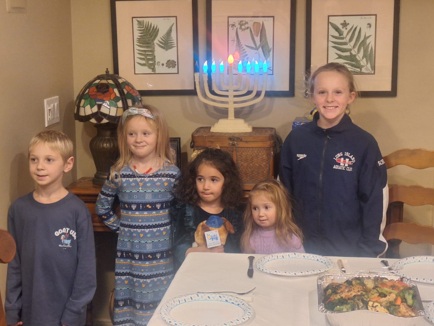 Customer photo review of Hanukkah Fair Isle Bamboo Girls' Long Sleeve Dress