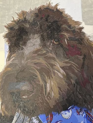 Customer photo review of Custom Pet Paint By Numbers