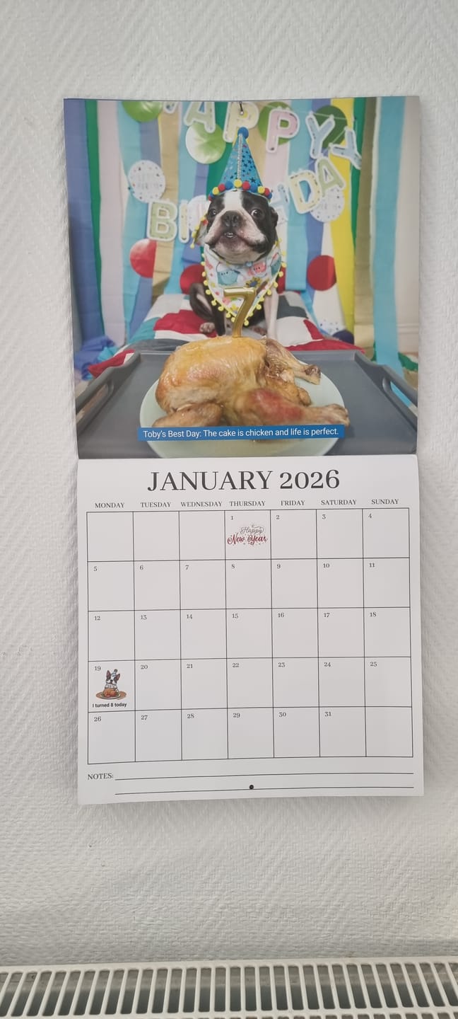 Customer photo review of 2026 Wall Calendar