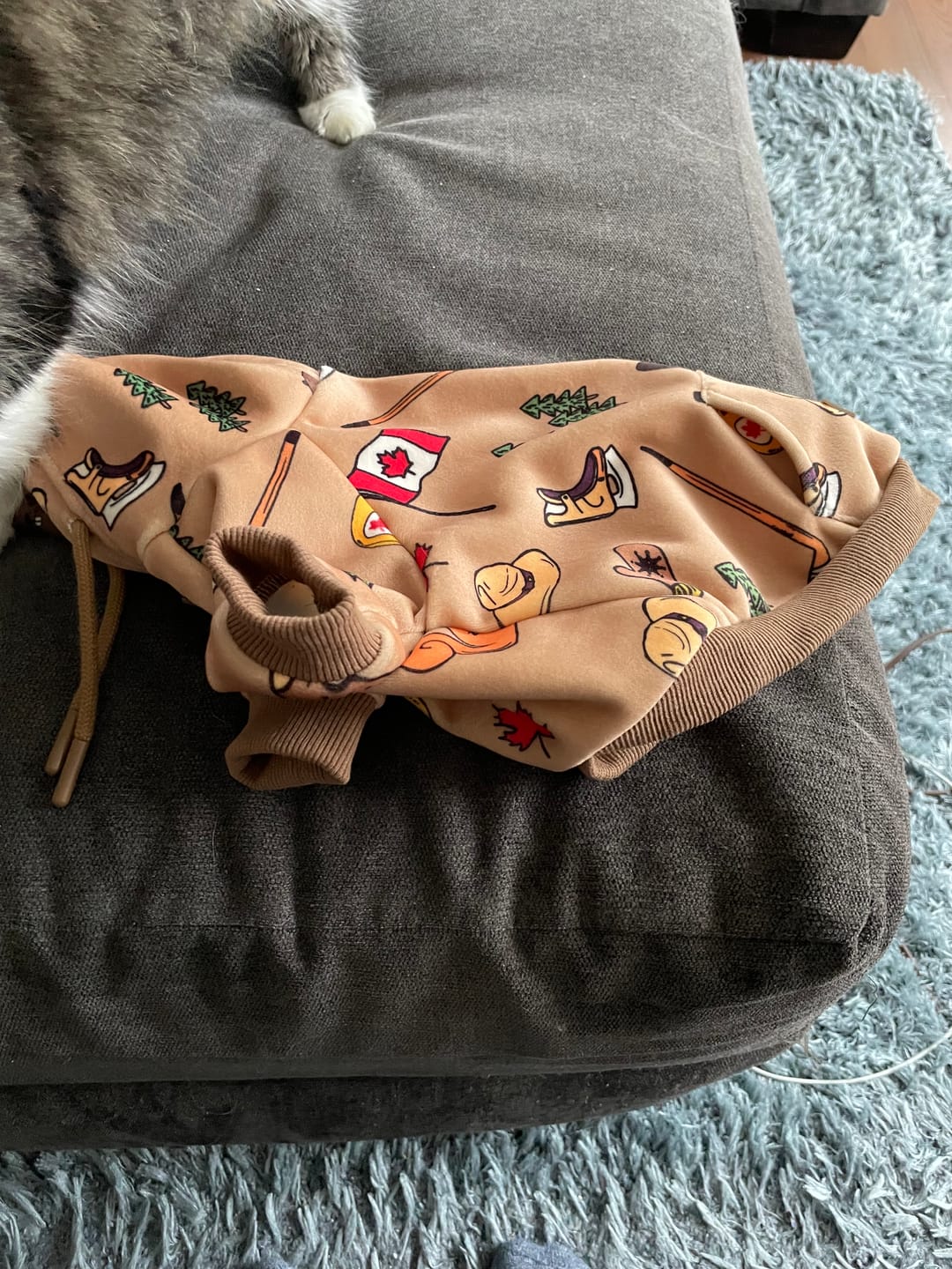 Customer photo review of Canada Dog Hoodie