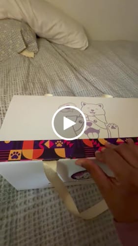 Custom Petslify plush reviewed by Krista P., handmade replica of their pet