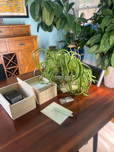 Customer photo review of keepsake stationery box