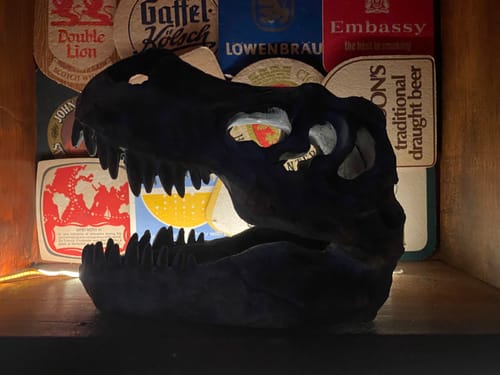 Customer photo review of Tabletop T-Rex Skull