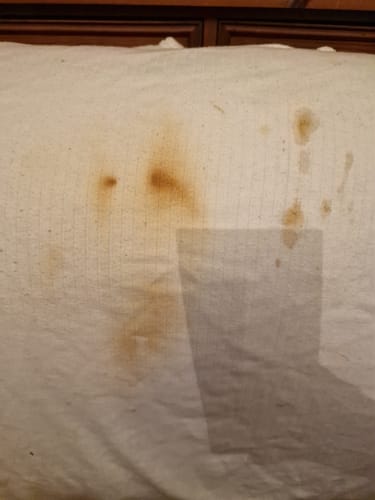 Customer photo review of Pure Laundry Powder