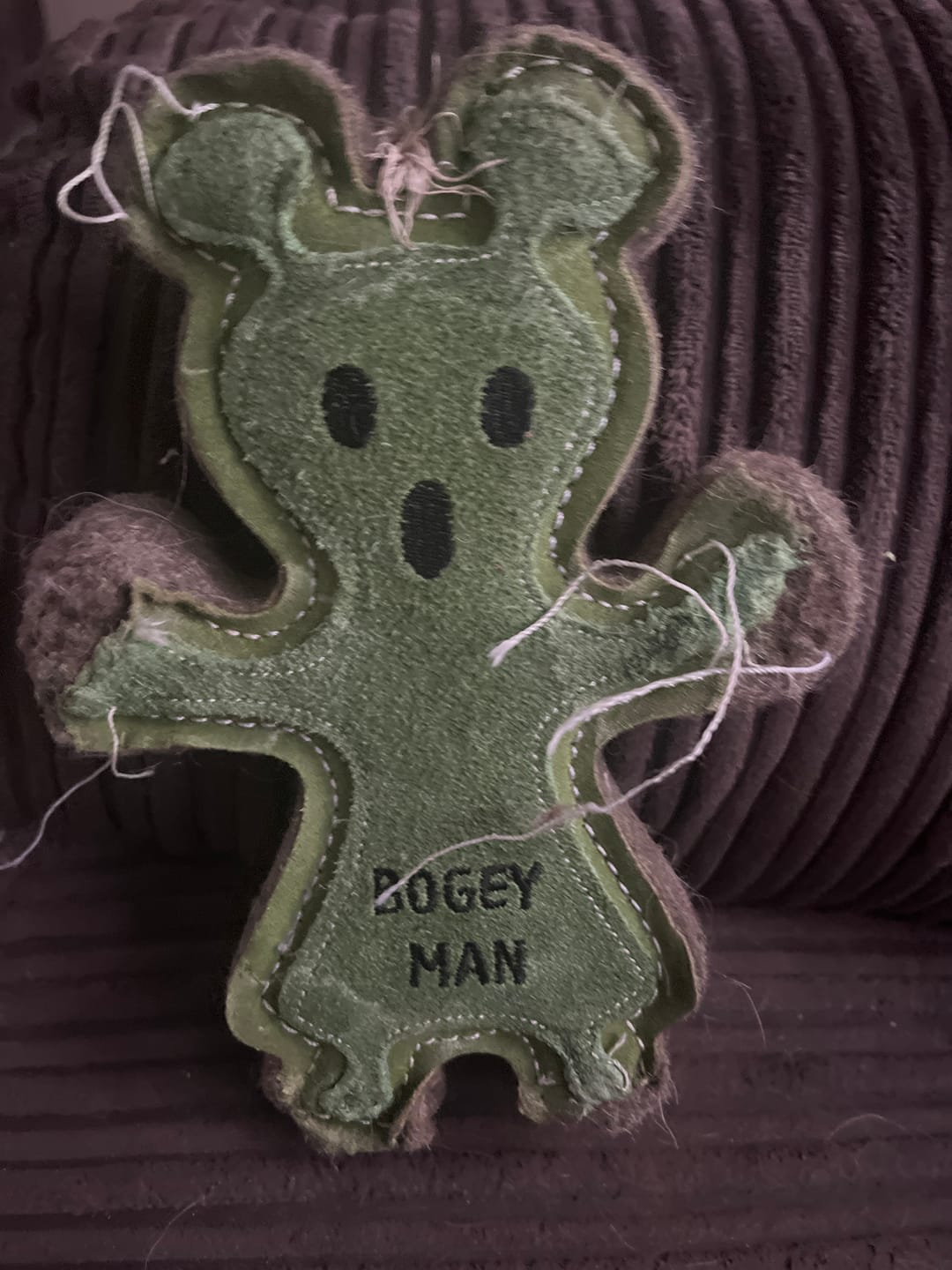 Customer photo review of Bogeyman Halloween Eco Toy