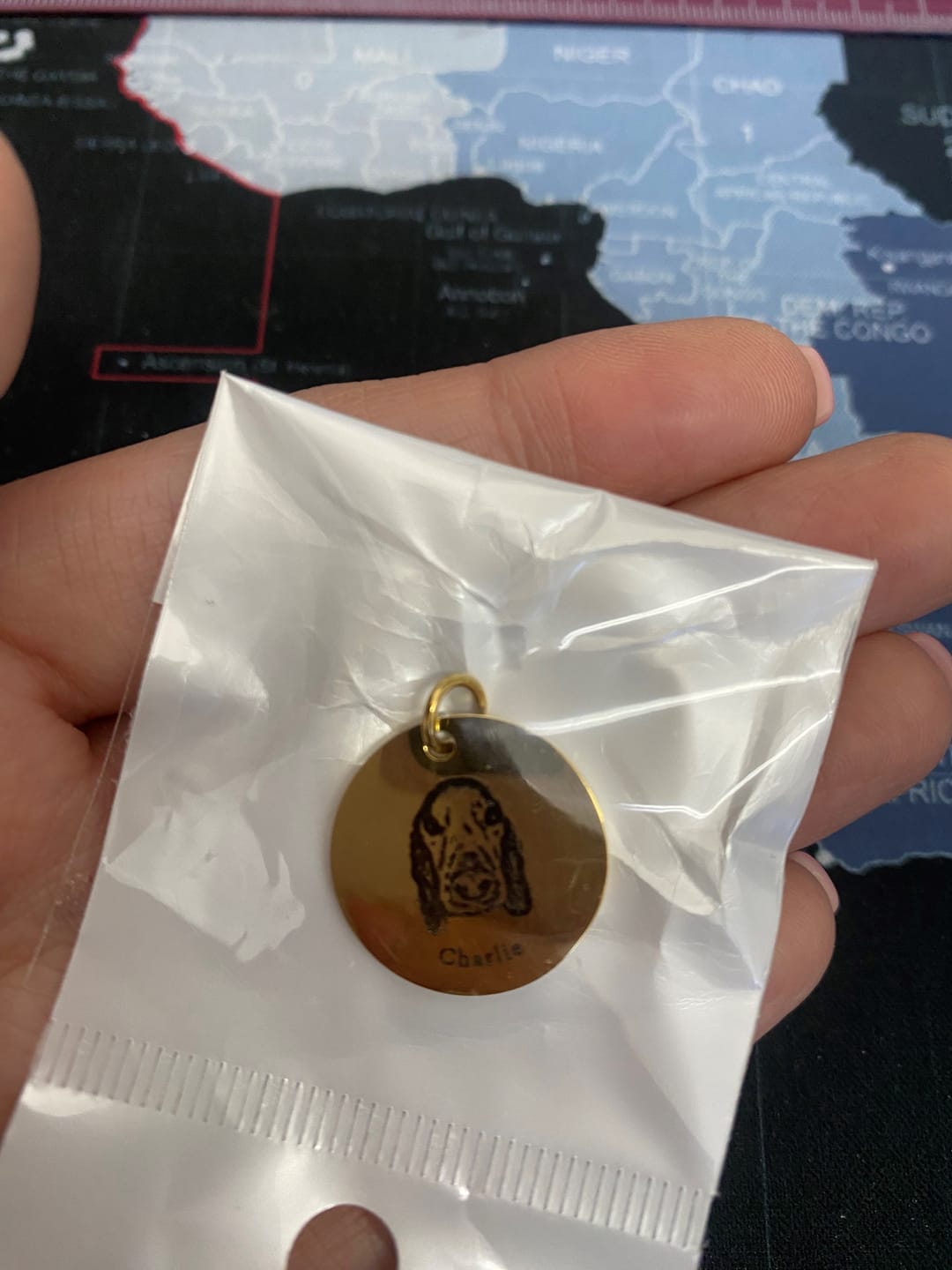 Customer photo review of Personalizovaná klíčenka s obličejem mazlíčka