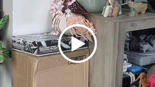 Customer video review of Nautilus Soft Stuffed Plush Toy