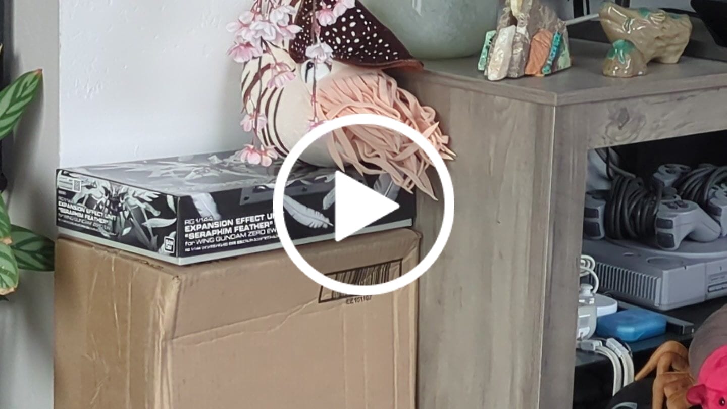 Customer video review of Nautilus Soft Stuffed Plush Toy