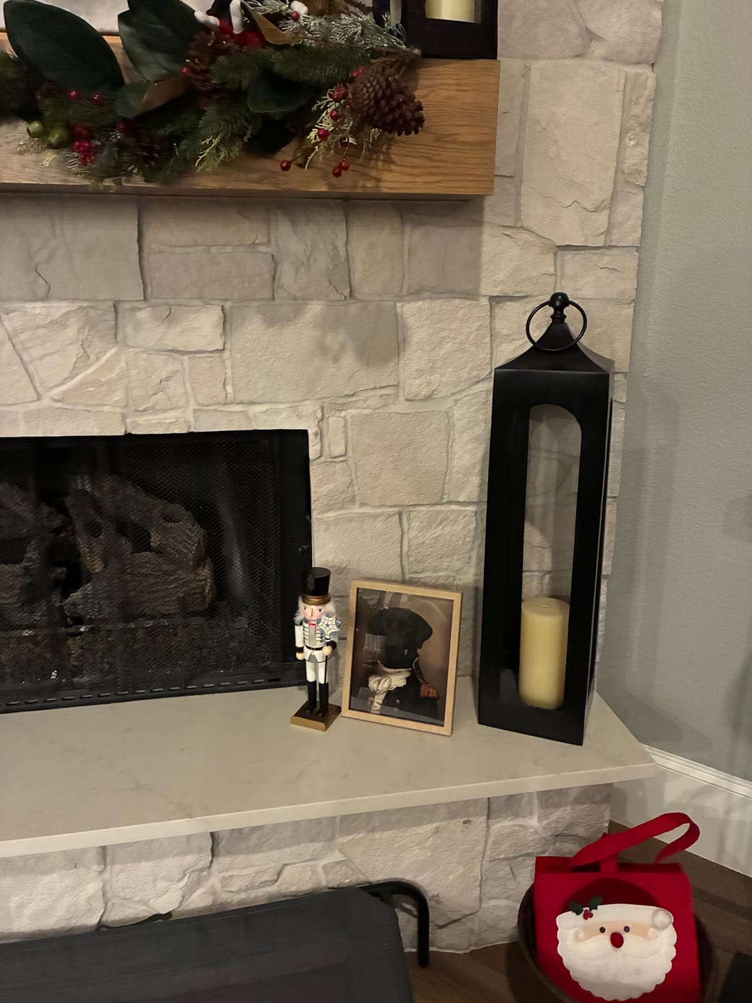 Customer photo review of The Victorian - Royal Pet Portrait