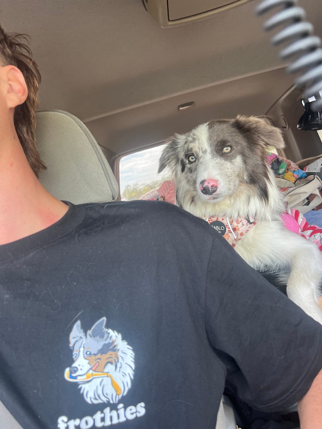 Customer photo review of Collies & Coldies Tee