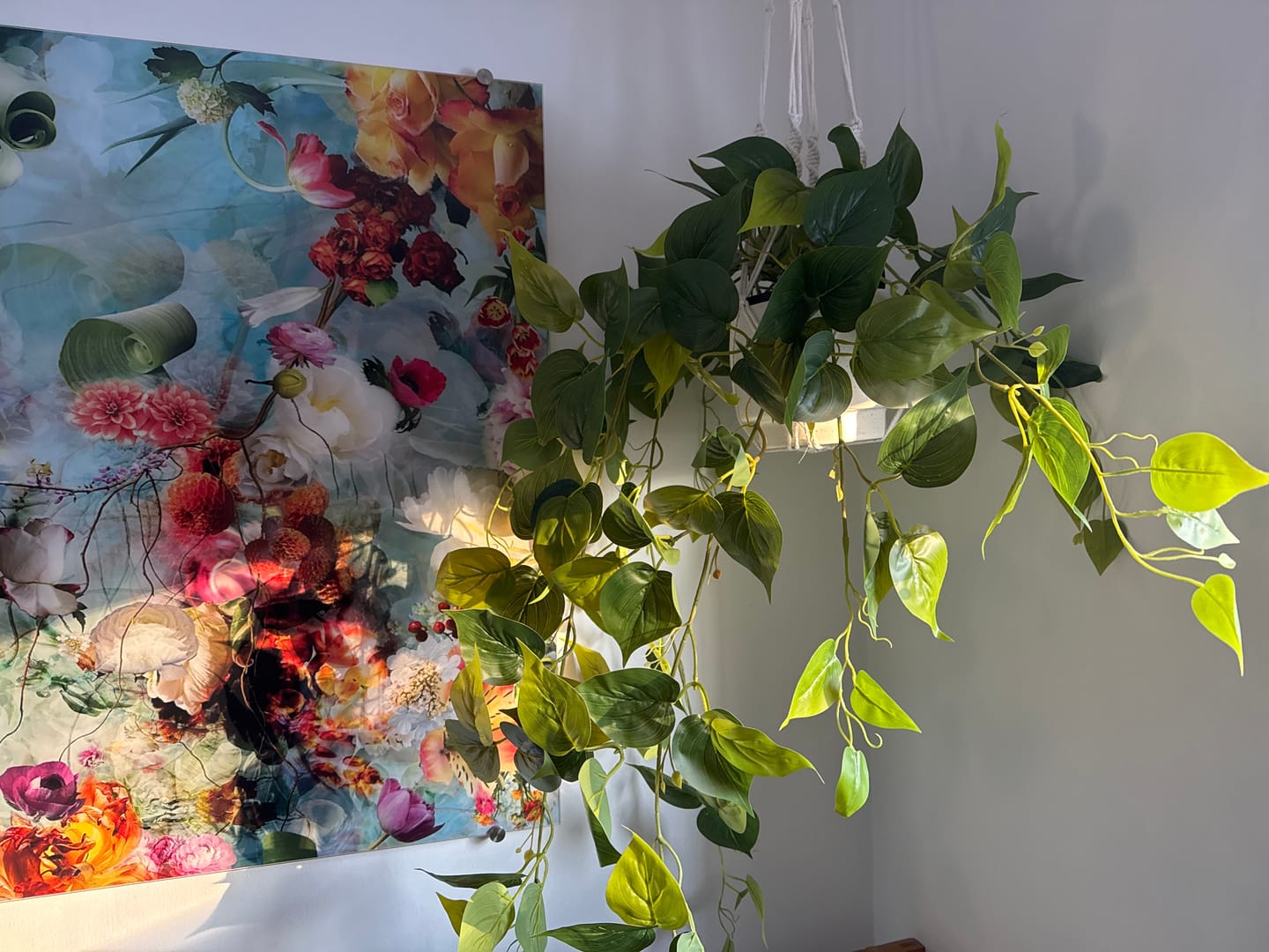 Customer photo review of Philodendron künstliche Hängepflanze 90cm